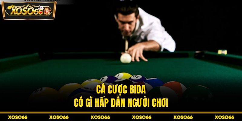 Cá cược bida có gì hấp dẫn