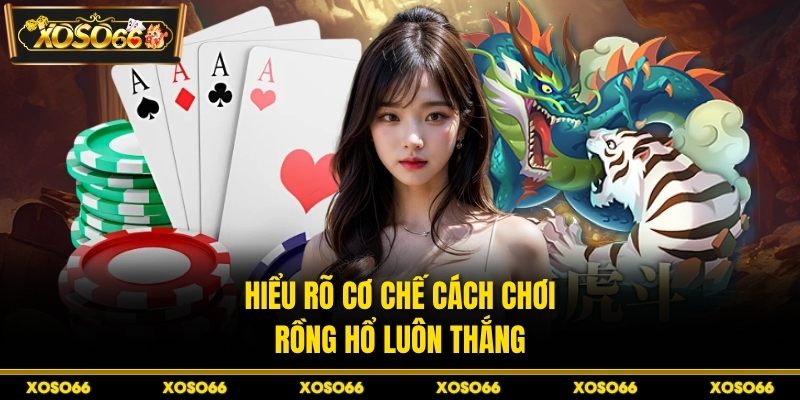 Hiểu rõ cơ chế cách chơi rồng hổ luôn thắng