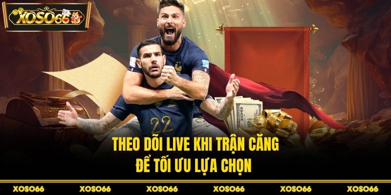 Theo dõi live khi trận căng để tối ưu lựa chọn 