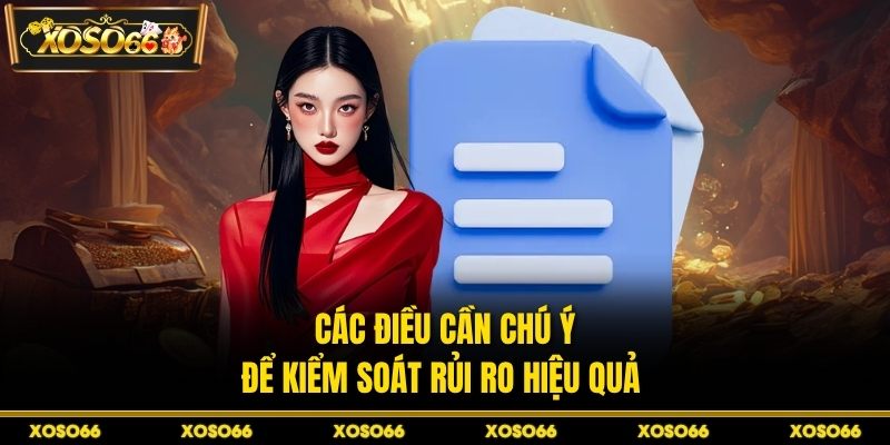 Các điều cần chú ý để kiểm soát rủi ro hiệu quả 