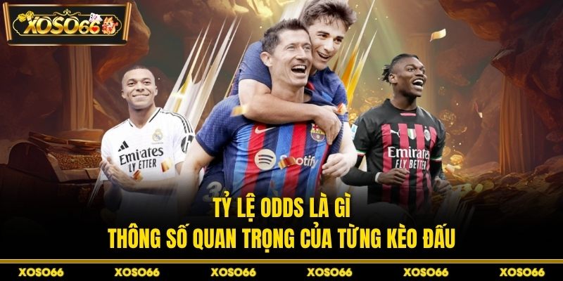 Tỷ lệ odds là gì - thông số quan trọng của từng kèo đấu